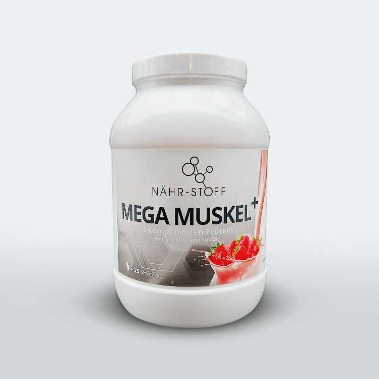 Mega Muskel+  Mehrkomponenten Protein